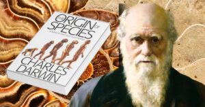 On the Origin of Species by Charles Darwin: A Revolutionary Book That Changed Science Forever